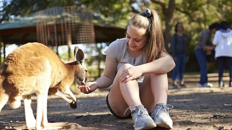 Whiteman - Caversham wildlife park