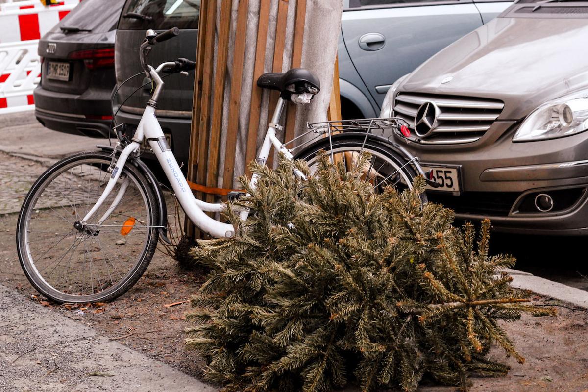 Sapin sur le trottoir 