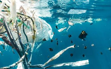 des plastiques dans l'ocean