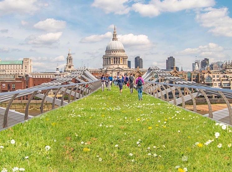 London in Colour ou comment verdir le pont du millenium à Londres