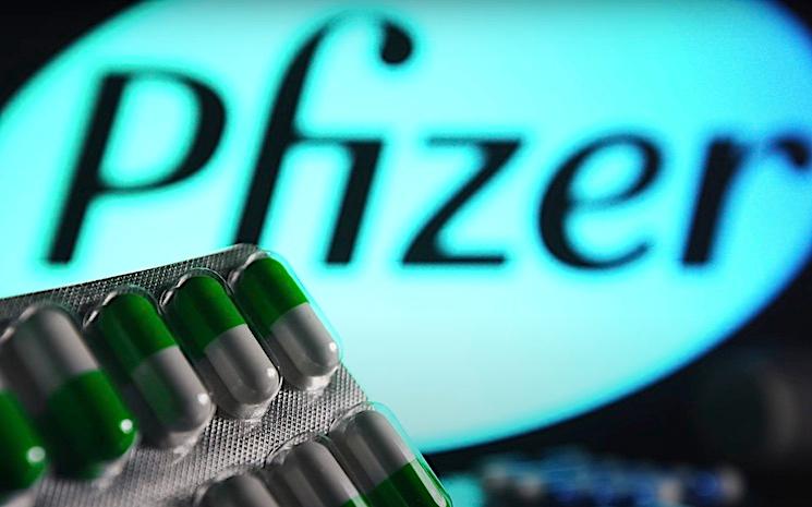 pfizer pilule covid 