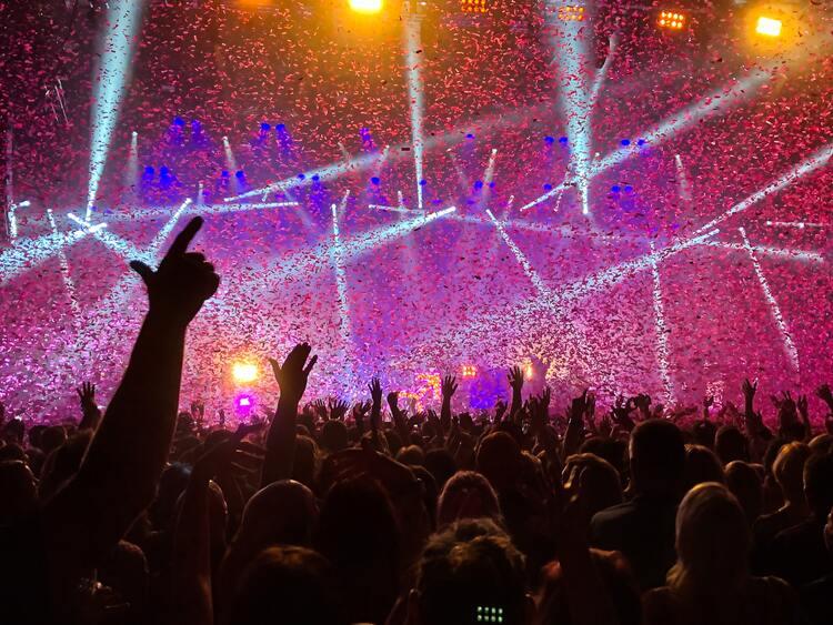 Des personnes s'amusent lors d'un concert