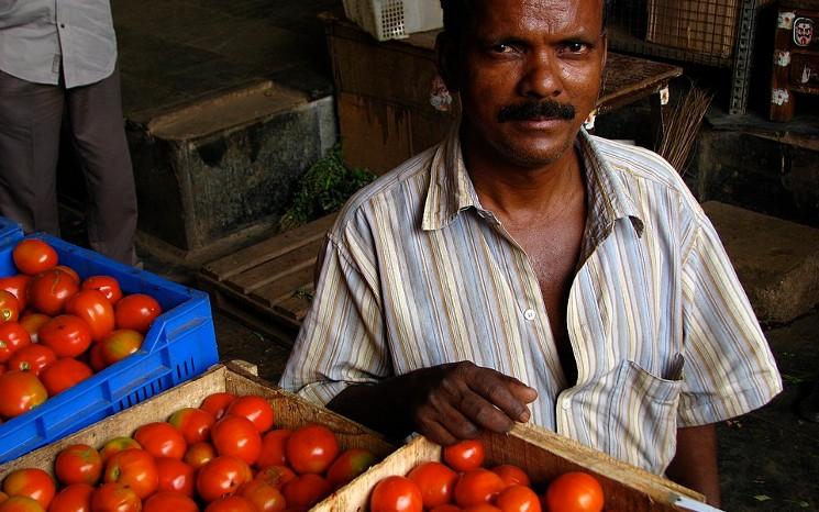 Vendeur de tomates au marché de Koyambedu à Chennai 