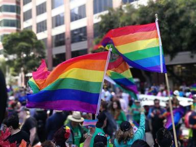 Des drapeaux arc-en-ciel sont brandis lors d'une manifestations 