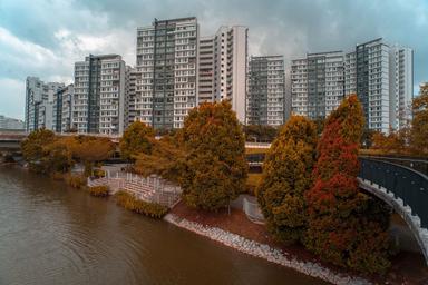 HDB Punggol singapour