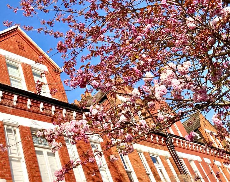 Les prix de l'immobilier augmentent à Londres