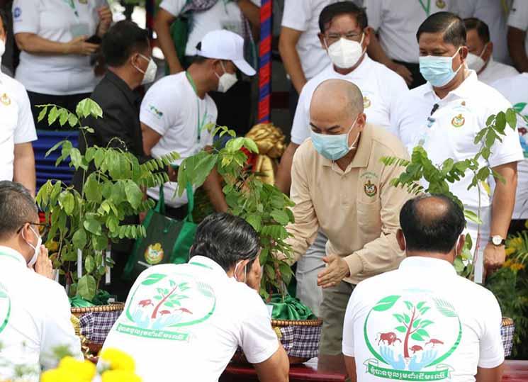 Le roi Norodom Sihamoni a présidé la Journée nationale du reboisement