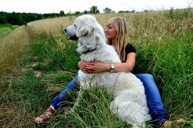 Un chien avec sa maitresse en Espagne 