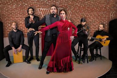 la troupe flamenco du tablao