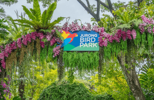 jurong birds park à Singapour va certainement déménager 