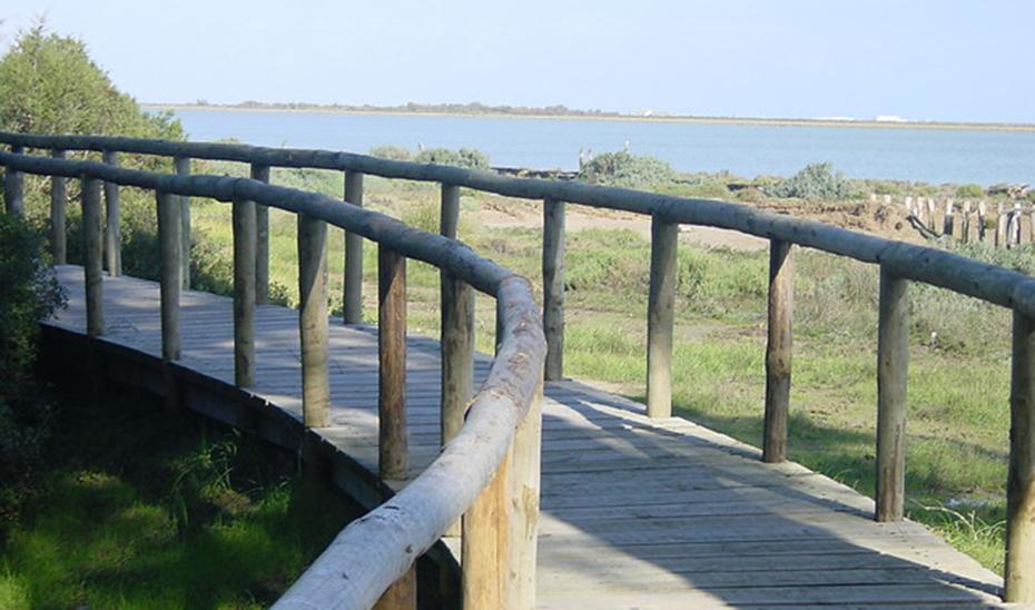 Plan d’action climatique de la Junta de Andalousie