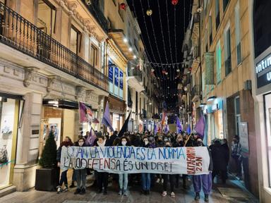 des personnes en train de manifester contre la violence faites aux femmes