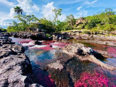 Caño Cristales, la rivière aux cinq couleurs