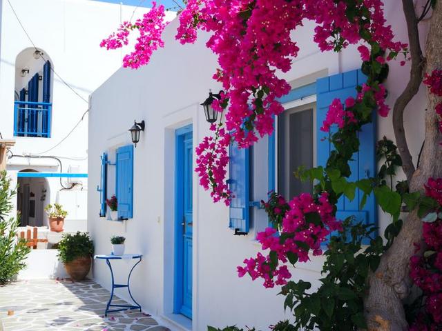 bougainvillier devant une maison en grèce 