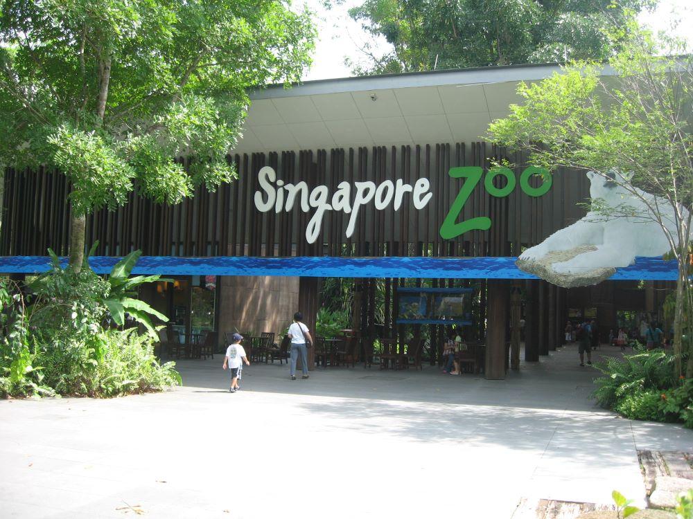 Singapour_Zoo naissances