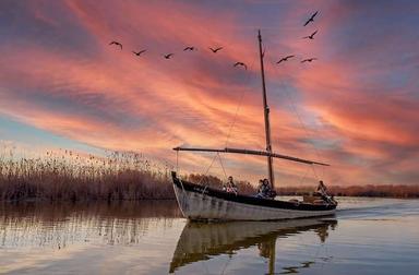 une barque qui navigue sur le lac du parc naturel de l'albufera au moment du coucher de soleil