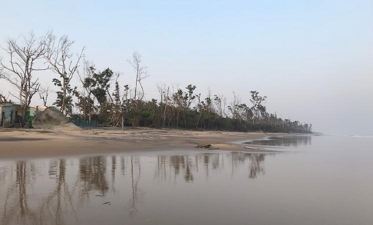 La plage de Habalikhati en Odisha où les tortues viennent chaque année