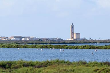 Flamants dans les salins de Cabo de Gata