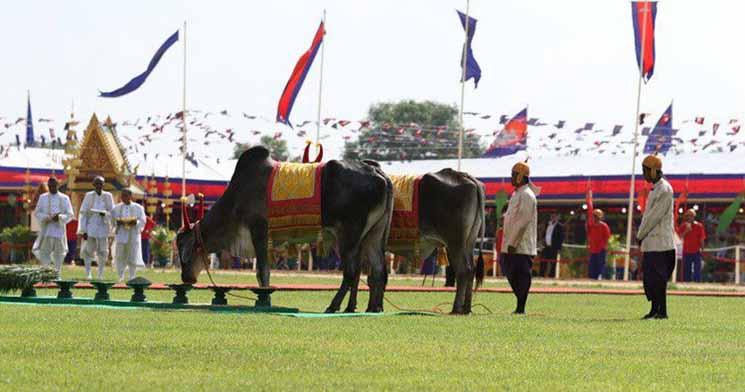 Royal_Ploughing_Ceremony 1