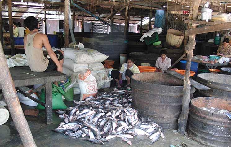 pecherie à Battambang