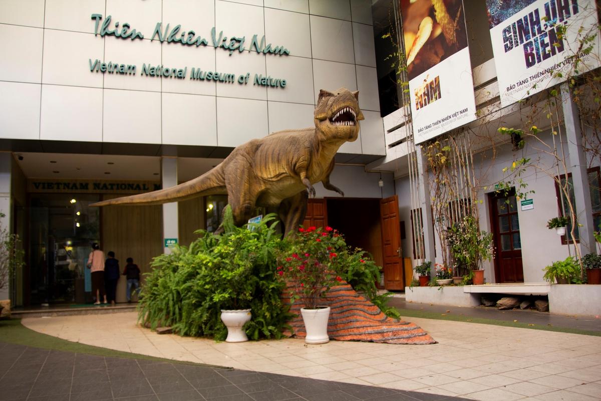 musée d'histoire naturelle de Hanoi 4