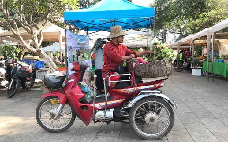 Choi Sokha commence à présenter les fleurs de lotus qu'elle vend au marché biologique de la province de Siem Reap.