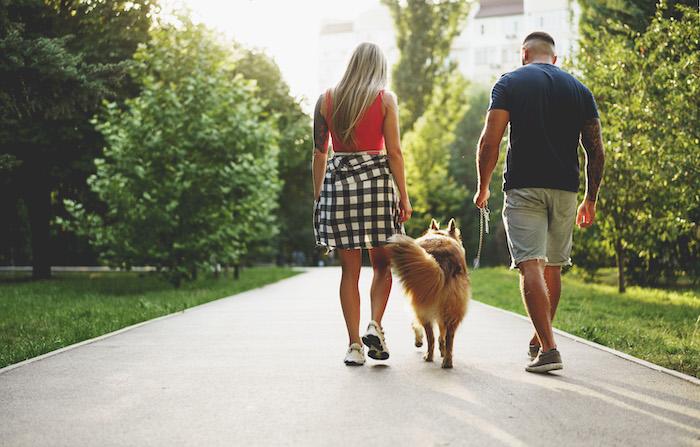 chien et couple