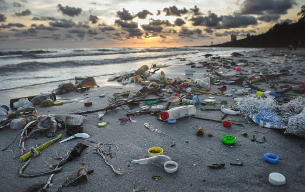 rammasage des déchets en Afrique du Sud pour la journée mondiale de nettoyage