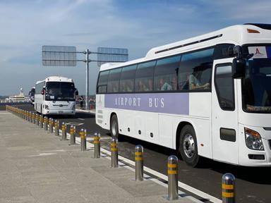 bus aéroport