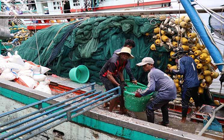 activity at the selected port of Oknha Ly Yong Phat for PSMA (11)