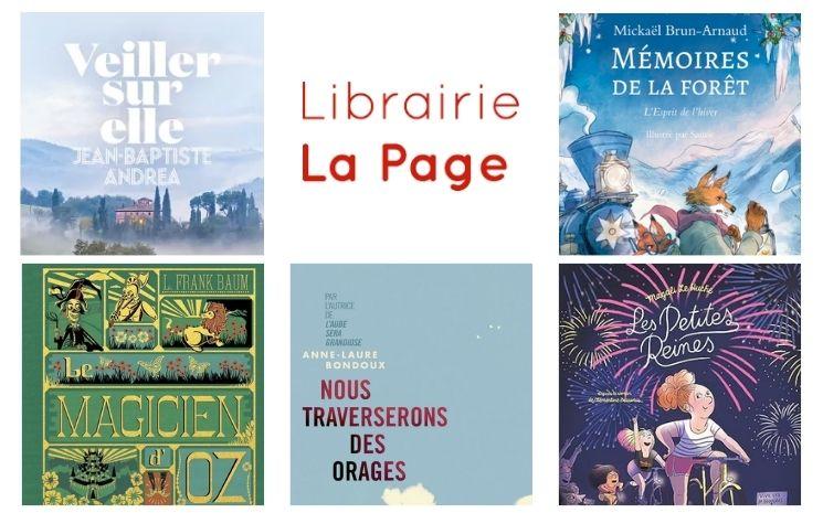 recommandations livres noël