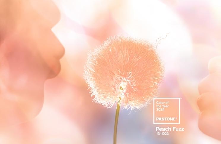 peach fuzz la couleur pantone 2024