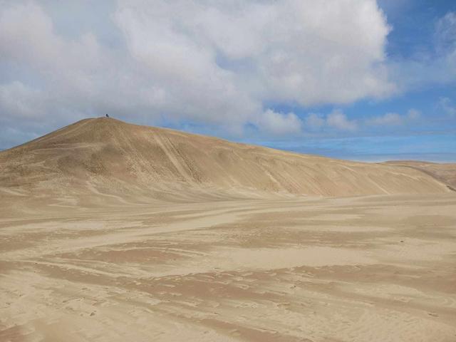 les iles de Nouvelle Zélande 