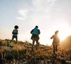 Chemins de randonnées dans la région de Johannesburg