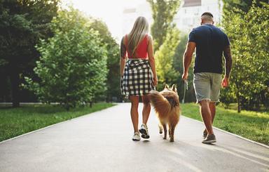 chien et couple en Espagne