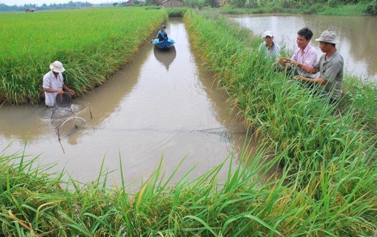 Coopération Néerlando-Vietnamienne Delta du Mékong