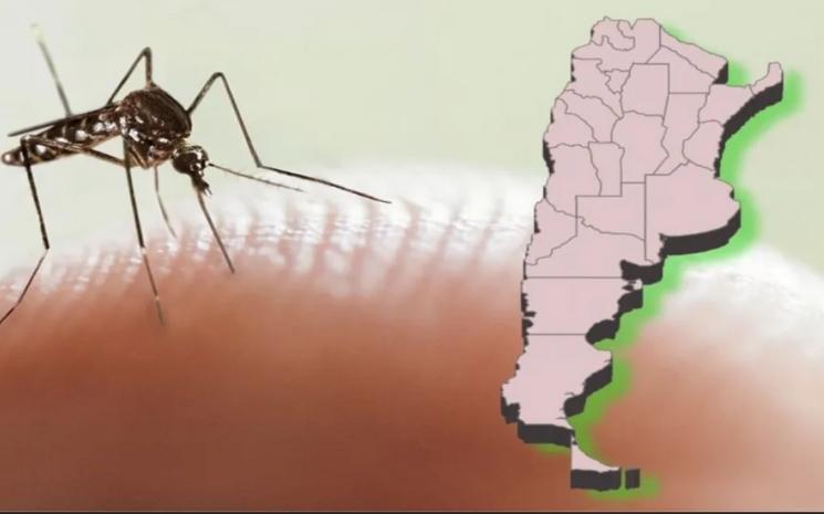 dengue argentine