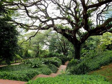 Fort Canning est un havre de paix au cœur de la ville.