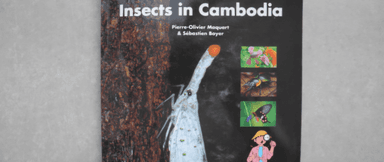 Le livre "Insectes au Cambodge" a été publié par les éditions Sipar en collaboration avec l'Institut Pasteur du Cambodge. Photo de l'ouvrage : Michelle Vachon