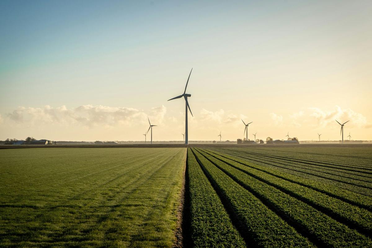 Champs au lever du soleil avec éoliennes à l'horizon