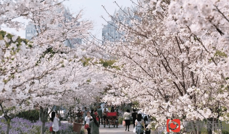 PARC - Zhongshan Park