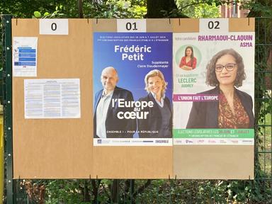 les affiches des candidats aux législatives dans la 7ème circonscription