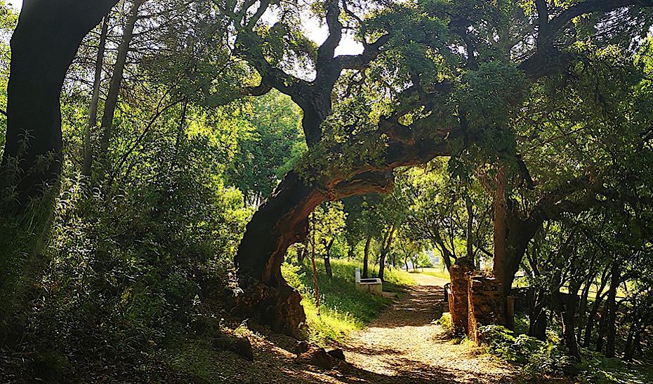 Sentier de randonnée entre Alájar et la Peña Arias Montano, Huelva.    https://www.juntadeandalucia.es