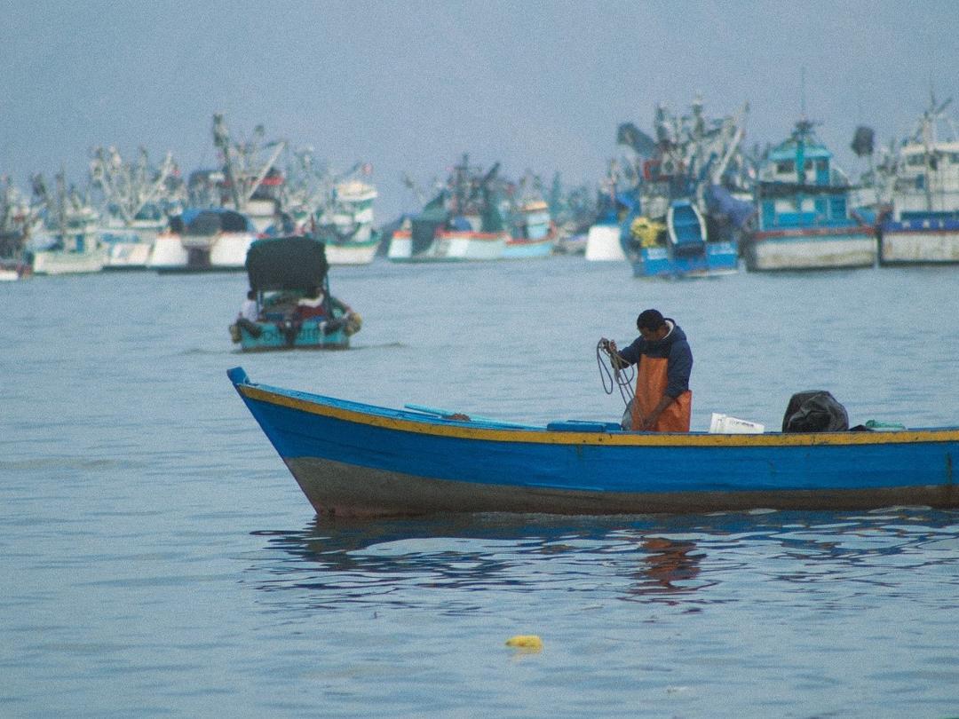 chimbote, un port de pêche