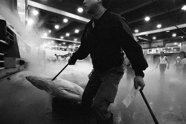 Les halles de tsukiji par Bruno Chapiron