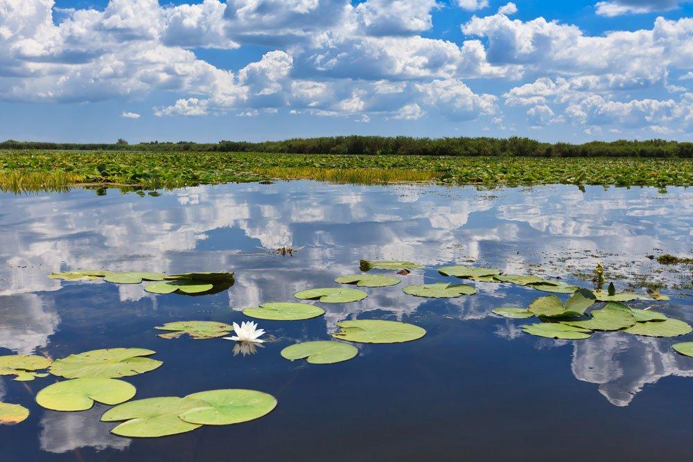 Danube Delta Romania