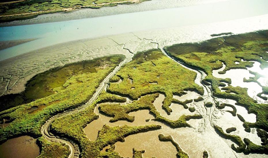 Vue aérienne du Paraje Natural Marismas del Odiel à Huelva, désormais également déclaré ZEC.