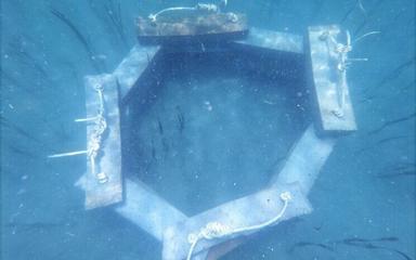 Un exemple de structure en béton installée par Marine Conservation Cambodia. Photo : MCC / Facebook