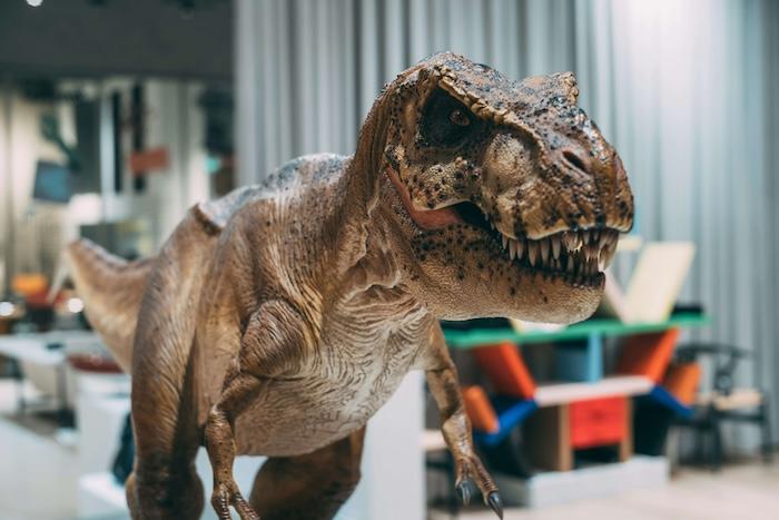 un dinosaure dans une exposition à valencia