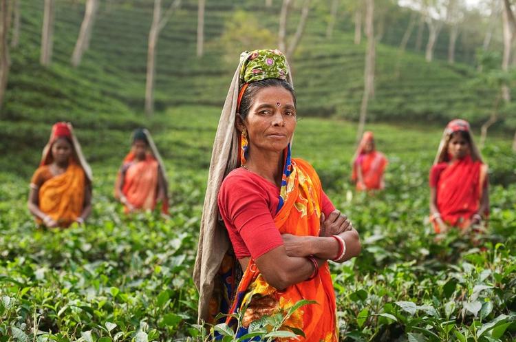 femme inde thé